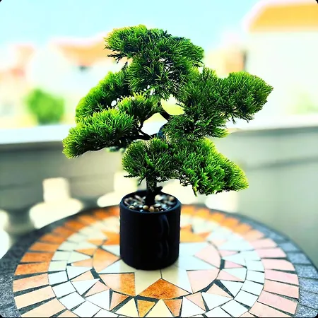 Apartamento Deluxe Zadar