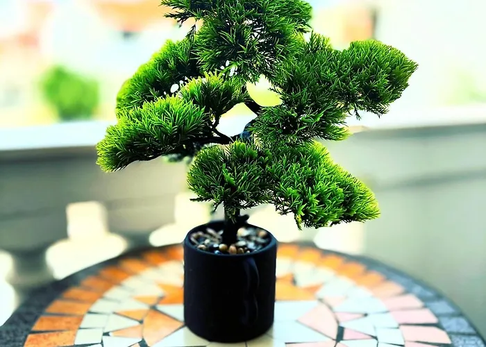 Appartement Deluxe Zadar